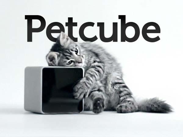 petcube_keeps_your_pet_from_being_lonely