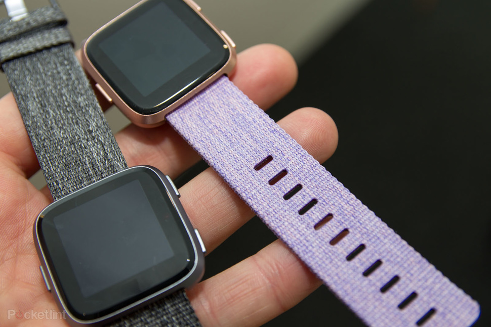 fitbit versa sport chek