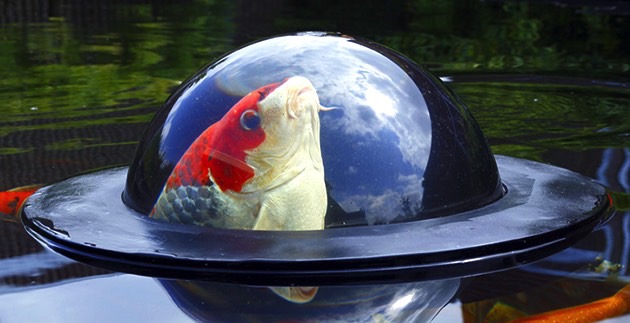 Inhabitat's Week in Green: fish domes and 3D-printed bridges