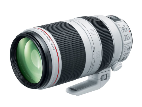 Canon EF 200-600mm f/4.5-5.6 IS lens price leaked