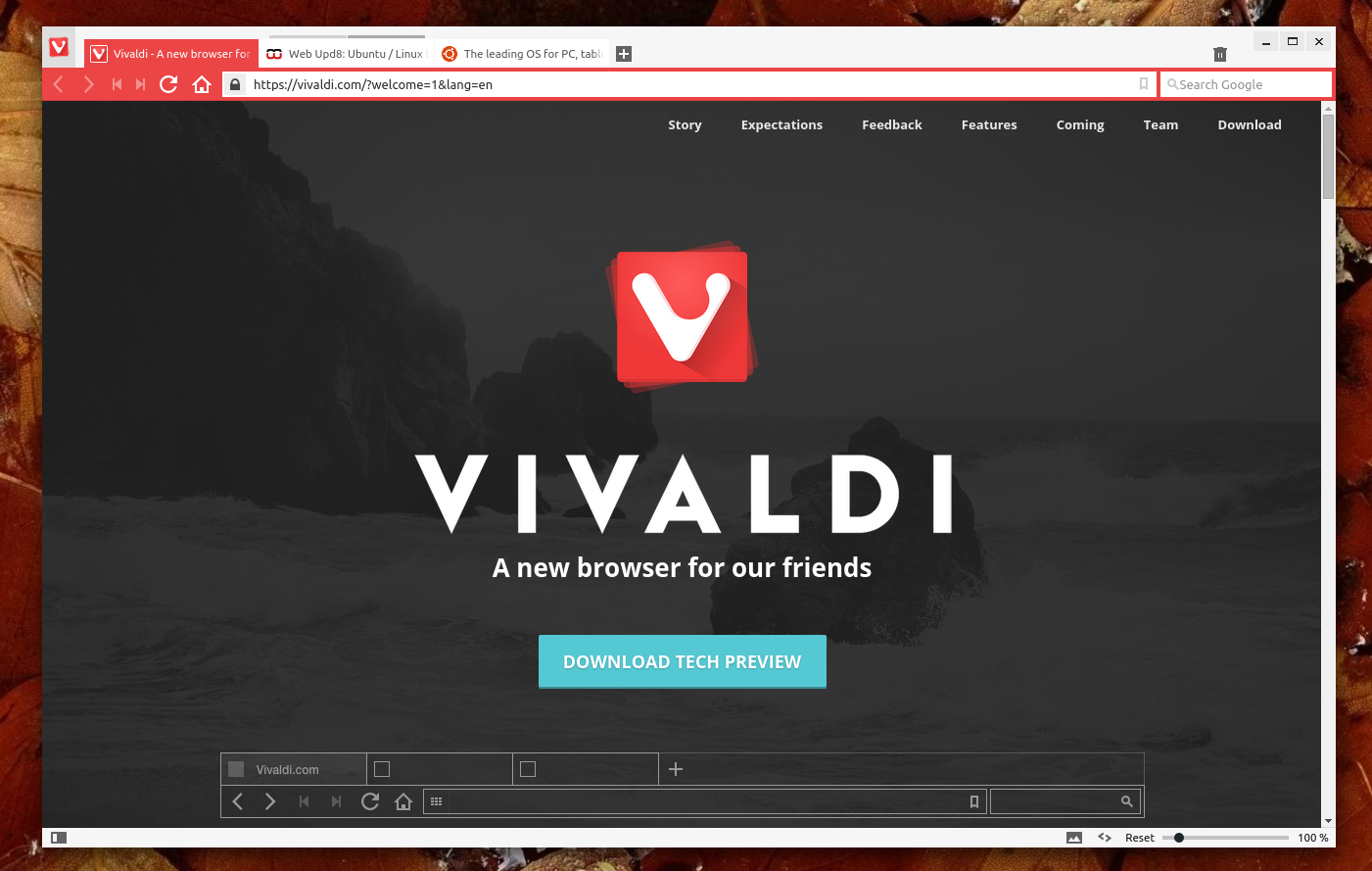 Vivaldi Browser Handson Review Powerful Chrome Alternative