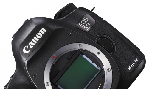 Canon 5D Mark IV Being Tested in the Wild, Coming in August