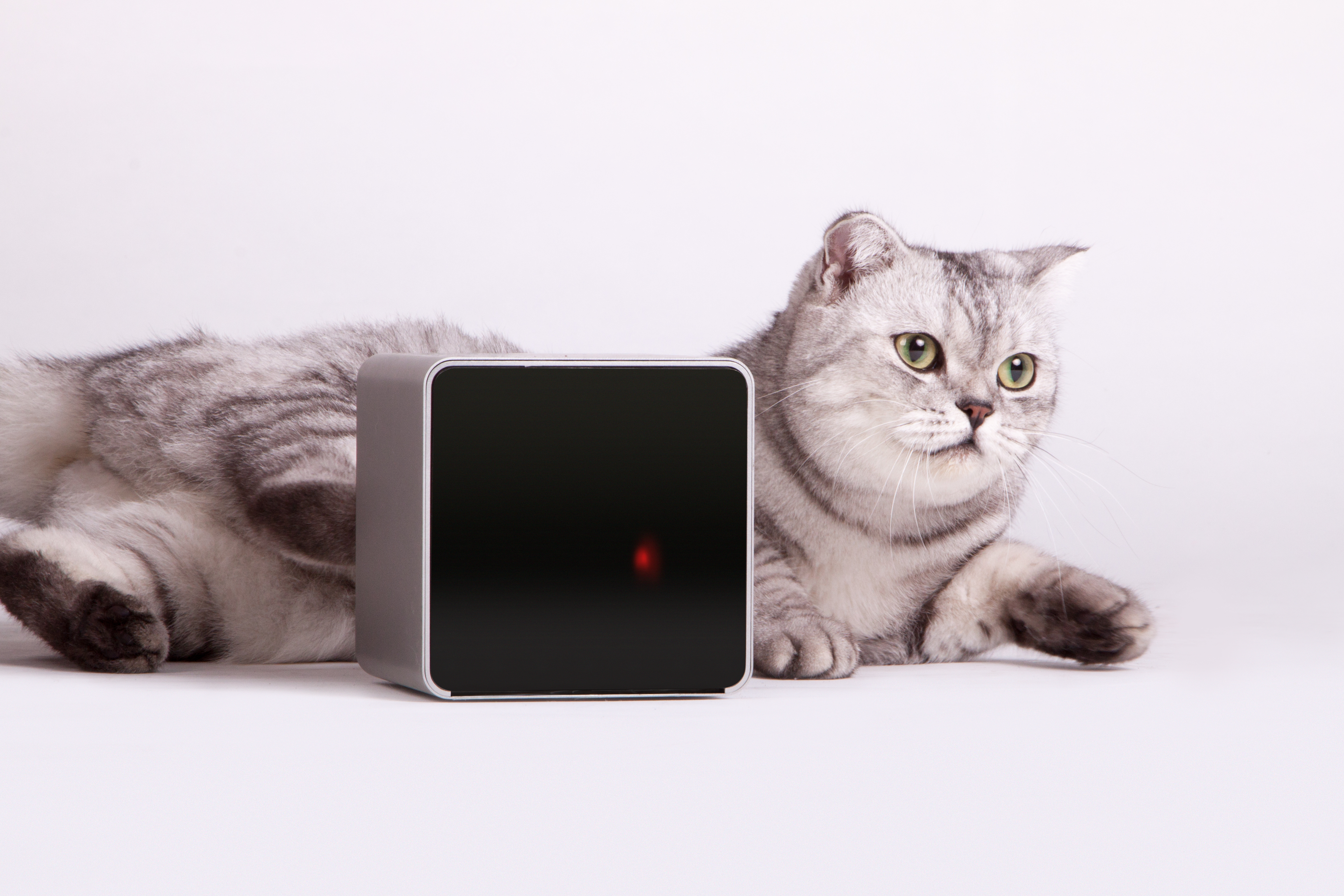 With Petcube, You and Your Pets Can Play, Even When You’re Away