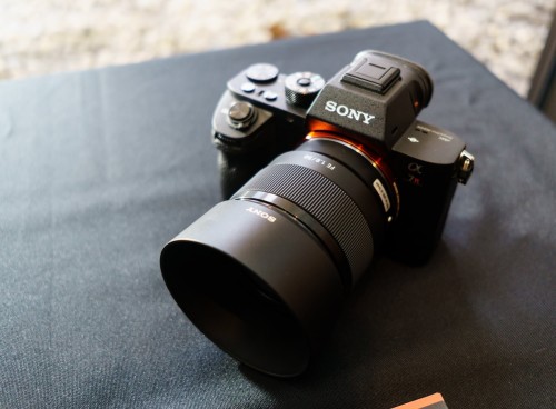 Comparison Review: Sony FE 50mm F1.4 ZA vs 55mm F1.8 ZA