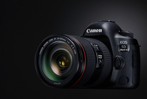Canon EOS 5D Mark IV review: The 30-megapixel monster