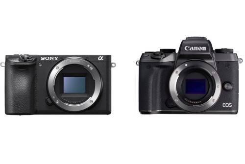 Canon EOS M5 vs Sony A6500 Specifications Comparison