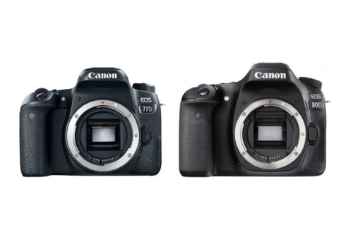 Canon 77D vs Canon 80D Specifications Comparison