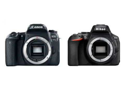 Canon 77D vs Nikon D5600 Comparison