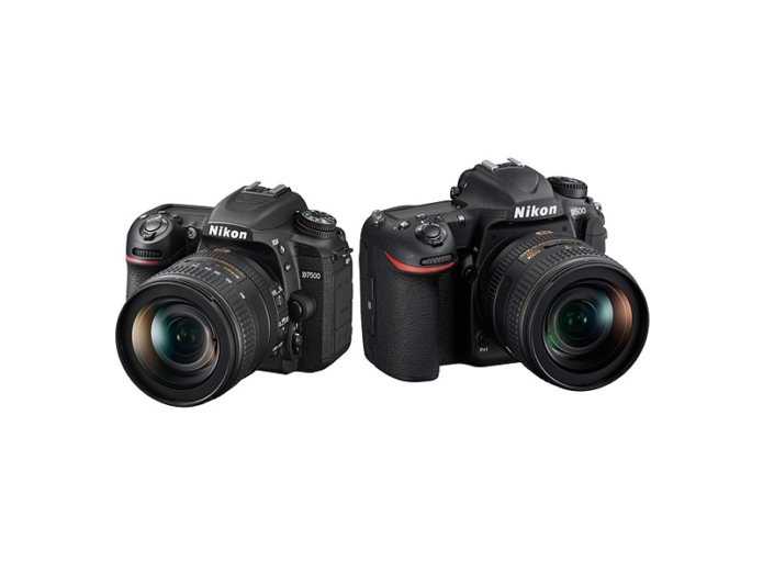 Nikon D7500 vs Nikon D500 : Which is better for you?