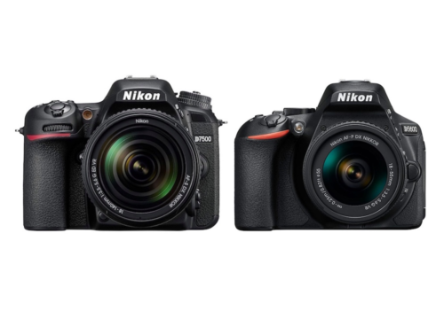 Nikon D7500 vs D5600 – Comparison