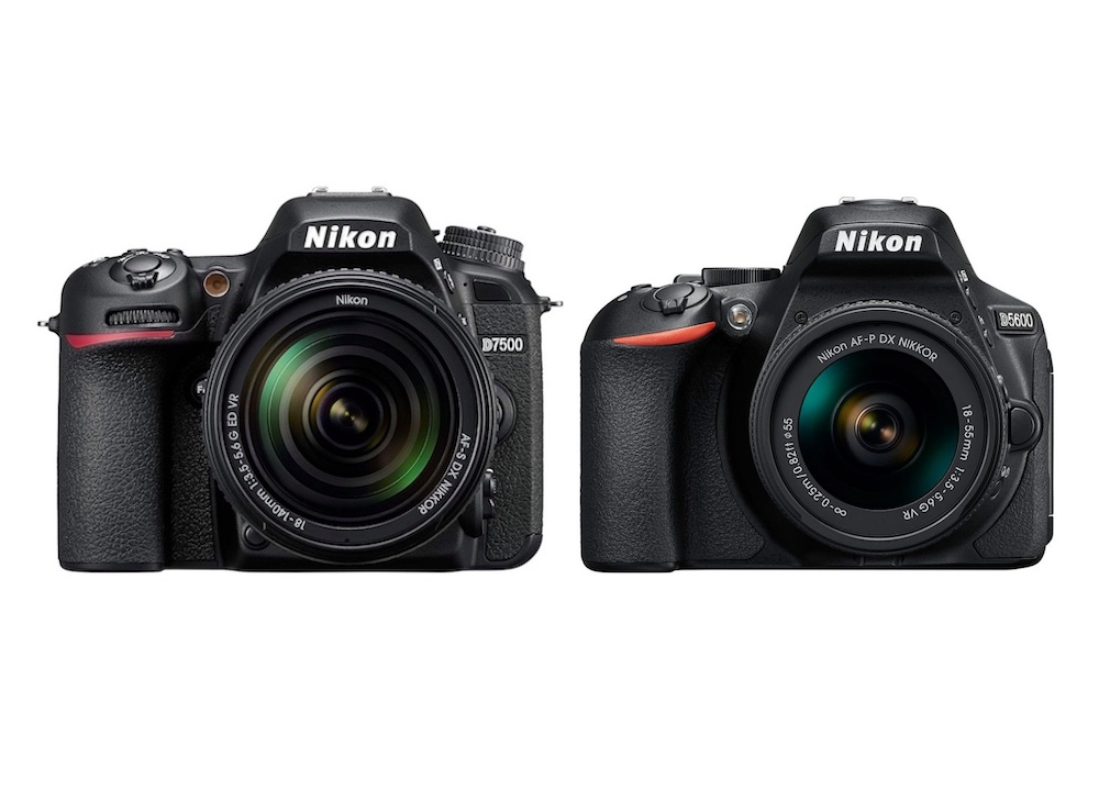 Nikon D7500 Vs D5600 Comparison Gearopen Nikon D7500 Vs D5600 Comparison Gearopen