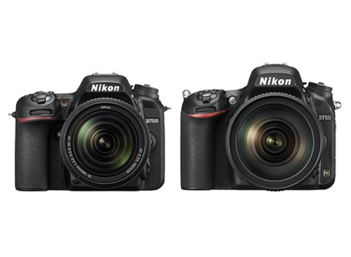 Nikon D7500 vs D750 Comparison