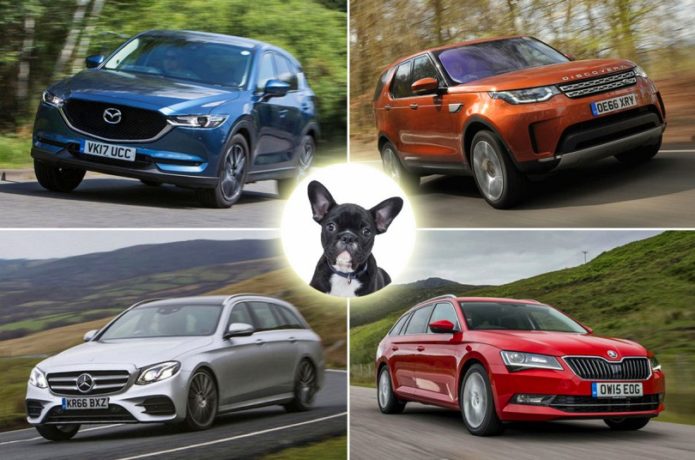 Best cars for dog owners