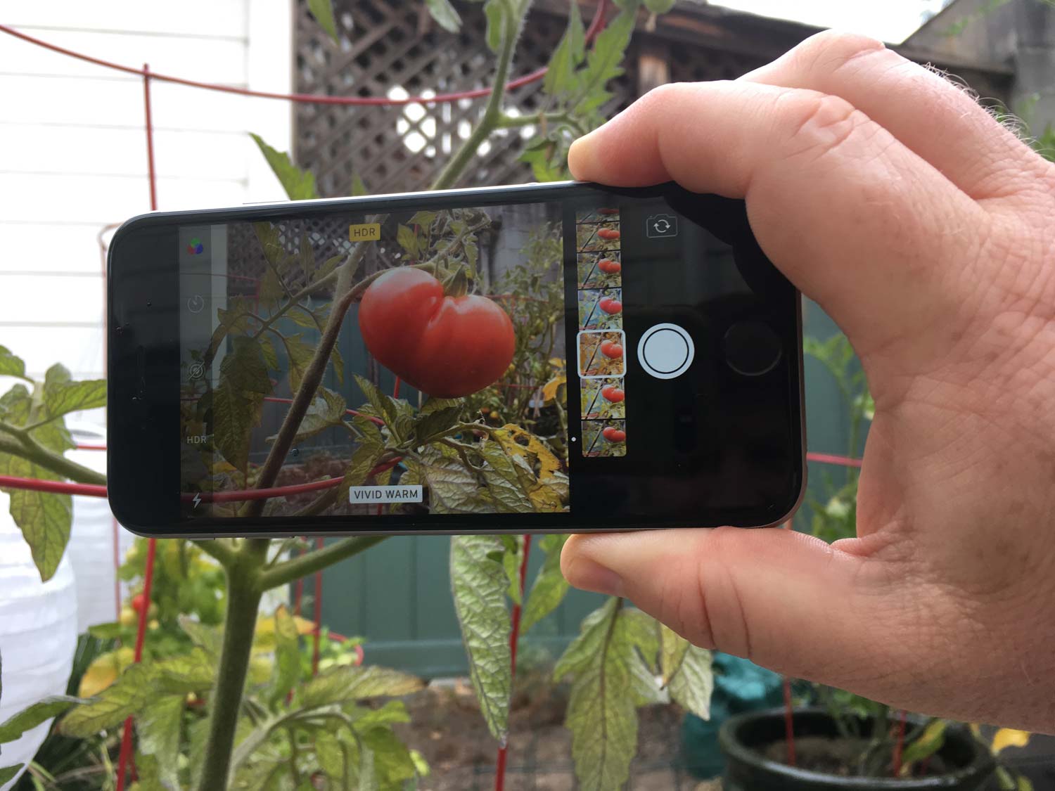 iOS 11 Camera Guide All the New Features and How to Use Them