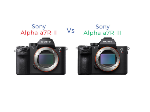 Sony Alpha a7R III vs a7R II Comparison Review