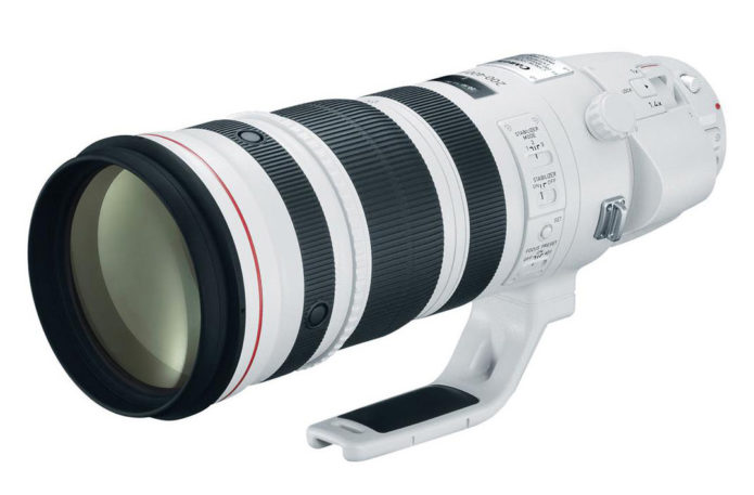 Canon EF 200-400mm f/4L IS USM Extender 1.4x Review