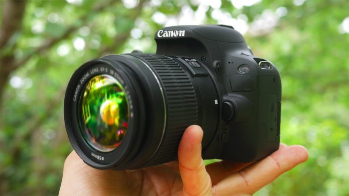 6 Best Nikon DSLR Lenses to Buy in 2018