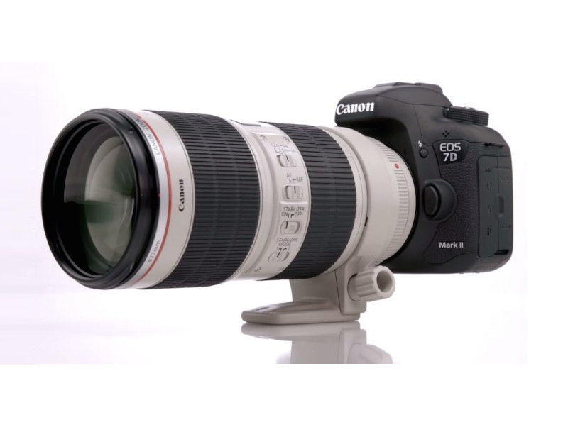 Canon to Announce a new APS-c DSLR along with EOS 90D and 7D Mark III