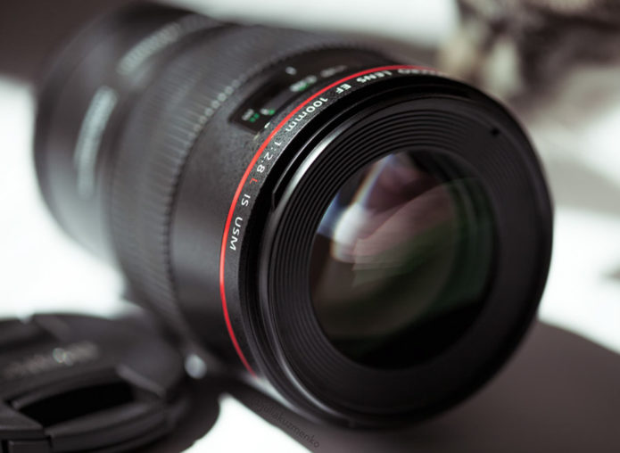 Best Macro Lenses for Canon DSLRs