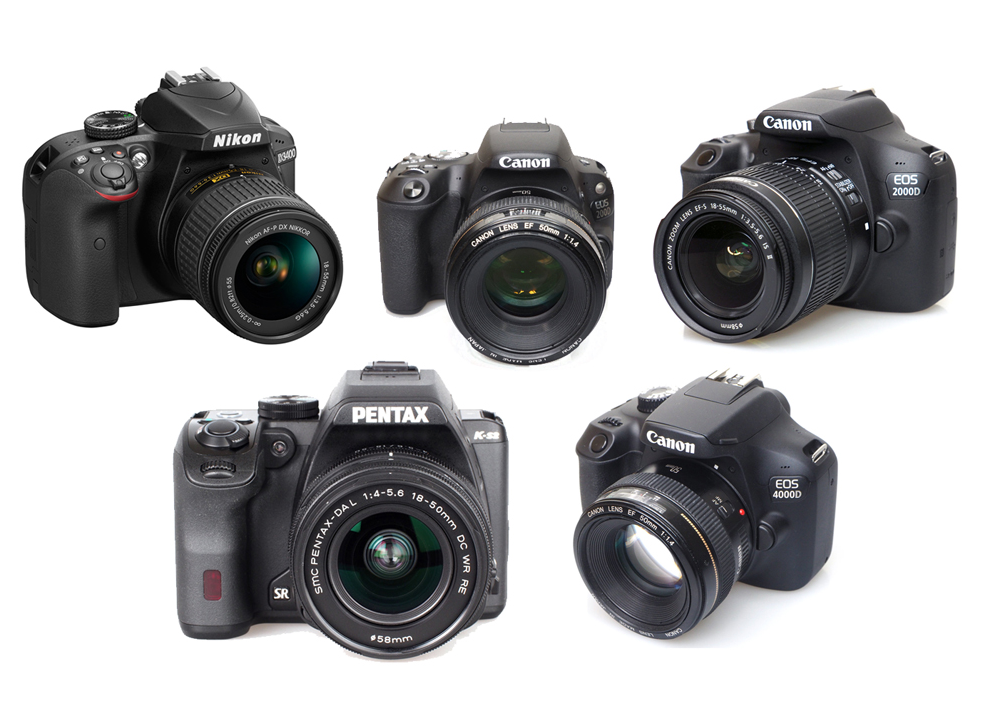 Budget DSLR Cameras Compared – Which Is Right For Me?