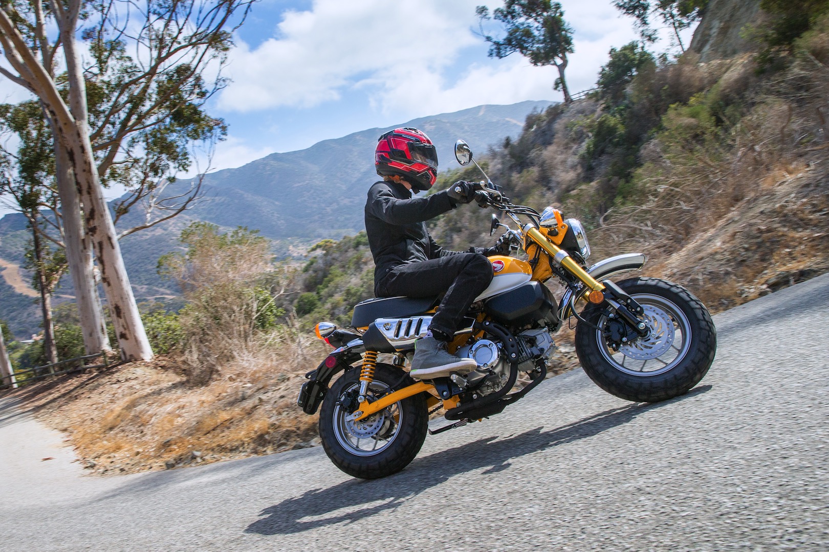 Honda Grom off Road