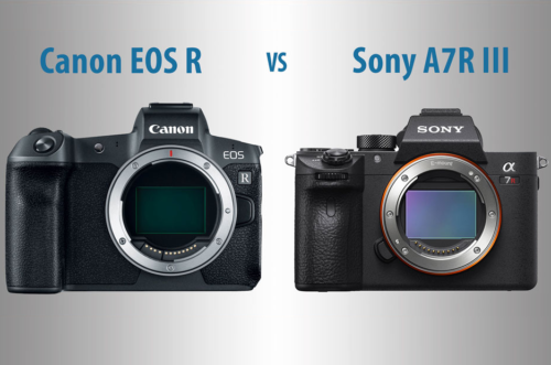 Canon EOS R vs Sony A7R III – The 10 Main Differences