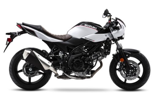 2019 Suzuki SV650X First Look: The SV Goes Café (8 Fast Facts)