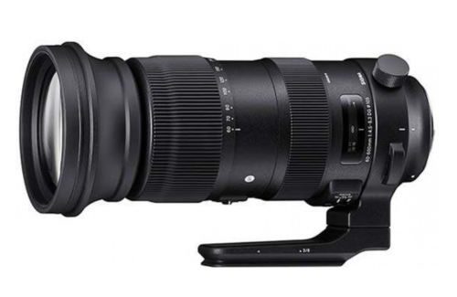 Sigma 60-600mm f/4.5-6.3 DG OS HSM Sports Review