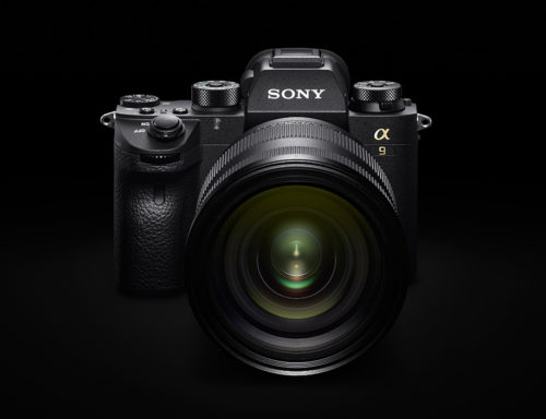 What to Expect from Sony in 2019