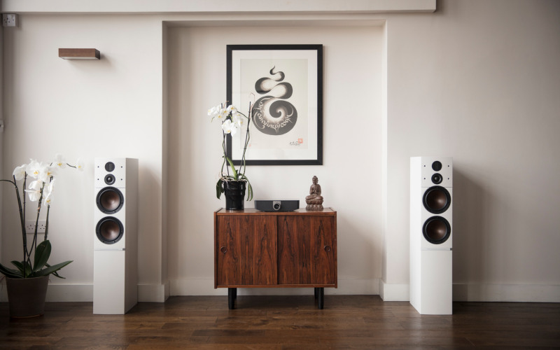 Dali Callisto 6 C / Dali Sound Hub review