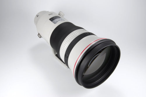 Canon EF 400mm f/2.8 IS III Lens Review