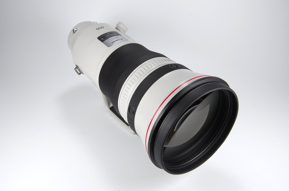 Canon EF 400mm f/2.8 IS III Lens Review