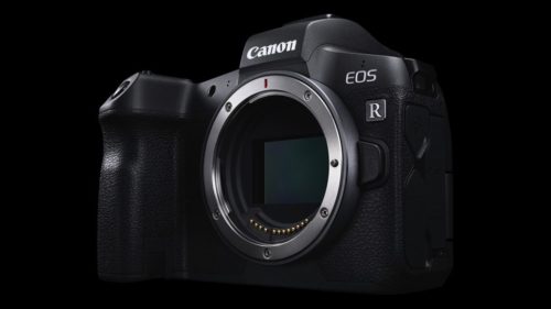 Canon EOS R vs EOS RP: 10 key differences you need to know