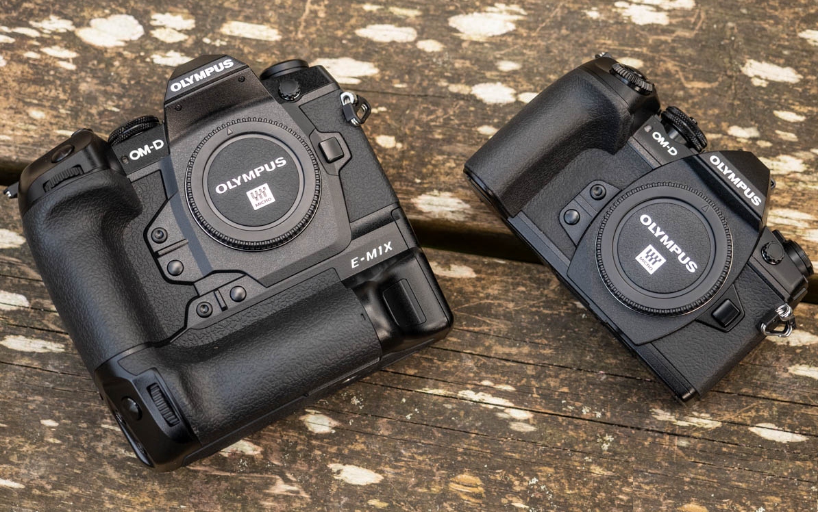 Olympus OM-D E-M1X vs E-M1 II – The Complete Comparison