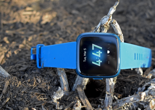 Fitbit Versa Lite Edition review