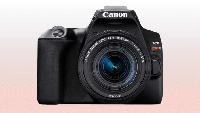 Canon EOS Rebel SL3 vs Nikon D3500 – Comparison