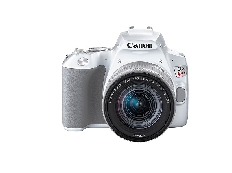 What you need to know about Canon's EOS Rebel SL3 (250D)
