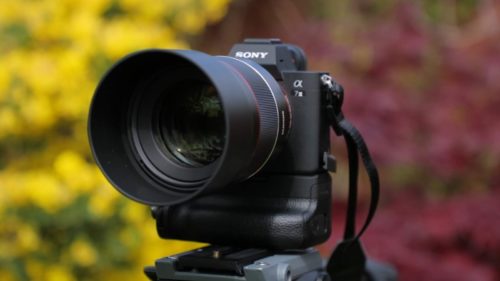 Samyang 85mm f1.4 AF FE Lens Review