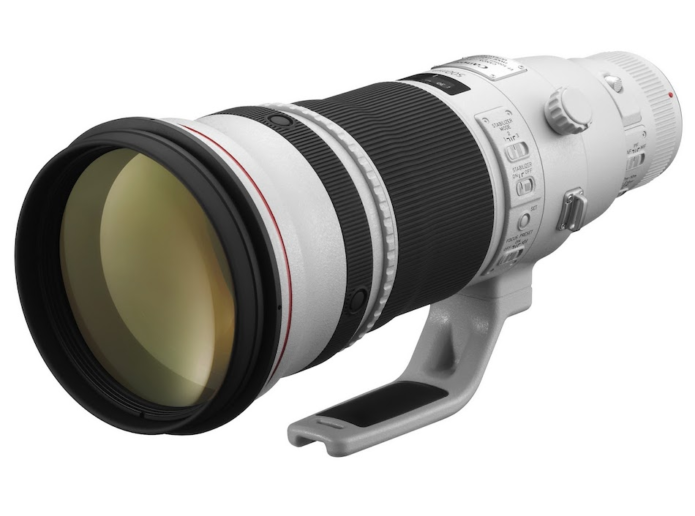 Canon RF 500mm f/4L IS Lens : First RF Mount Super Telephoto Prime