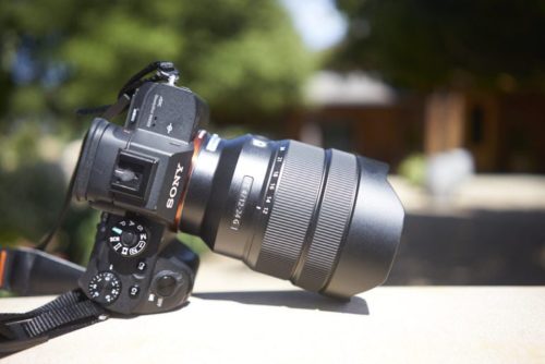 The Best Sony Lenses For Most Genres of Photography