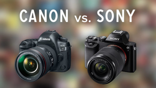 Canon vs. Sony: Which camera brand belongs in your bag?