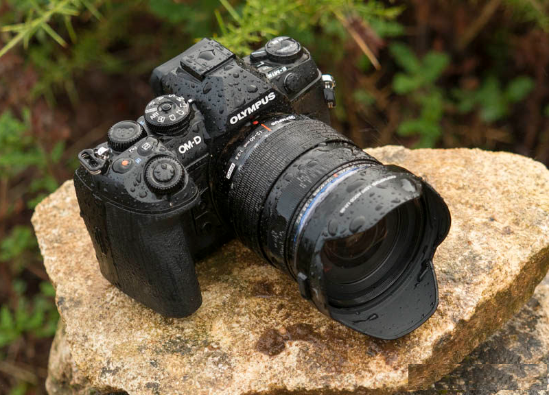 Olympus OM-D E-M1 II, Firmware 3.0 and Birds in Flight