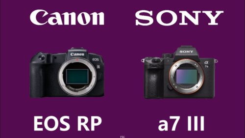 Canon EOS RP vs. Sony A7 III: Can Canon’s cheap shooter keep up with the best?