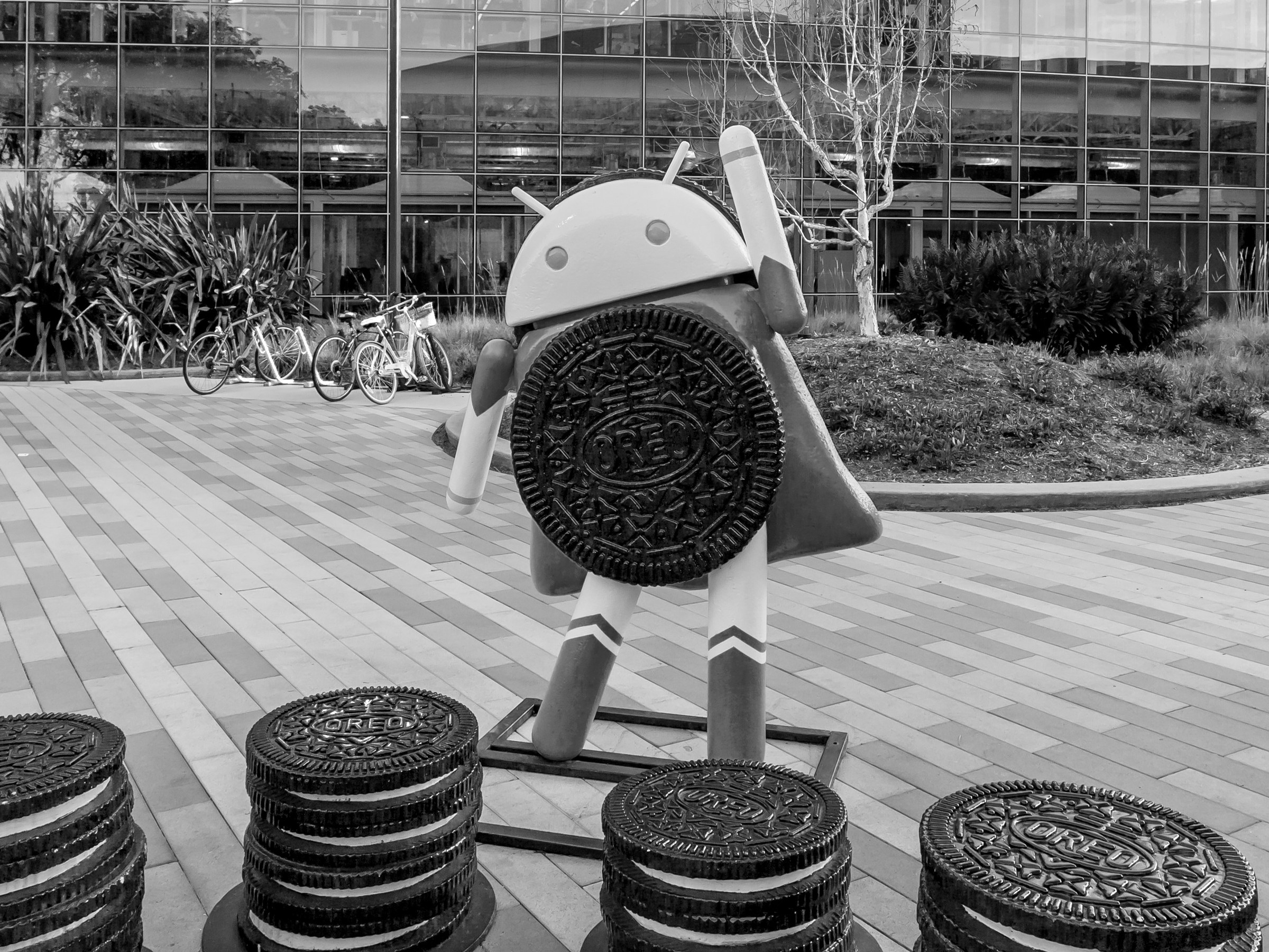 We were all wrong about Android Q’s name: Here comes… Android 10