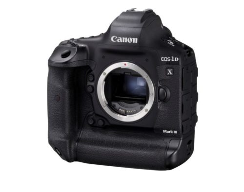 Will the Canon 1DX III Help Save the DSLR Market?