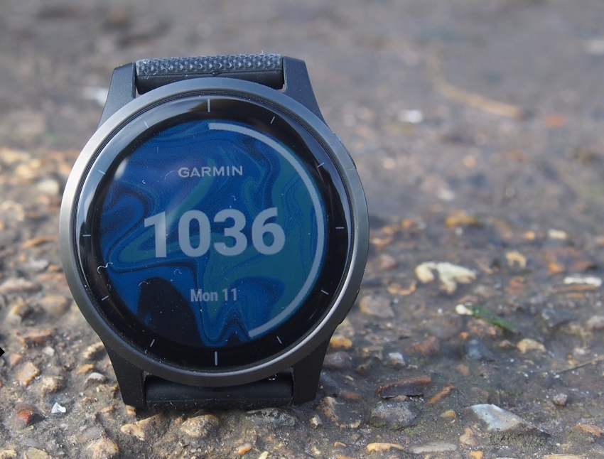 garmin vivoactive 3 zap