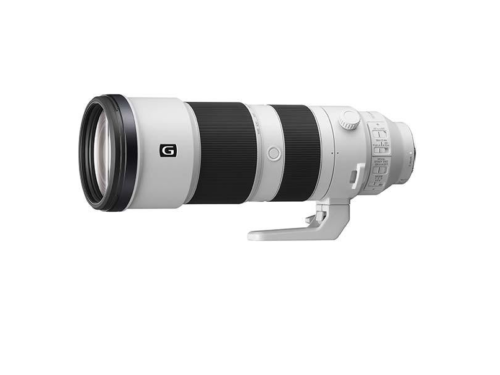 Sony FE 200-600mm F5.6-6.3 G OSS Review