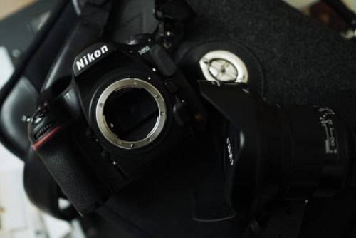 3 Nikon Cameras Perfect for Landscape Photographers