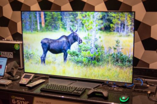 Hands on: LG CX 48-inch OLED (OLED48CXPUA) Review