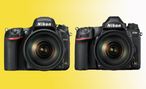 The Nikon D750 vs D780: Should you upgrade?